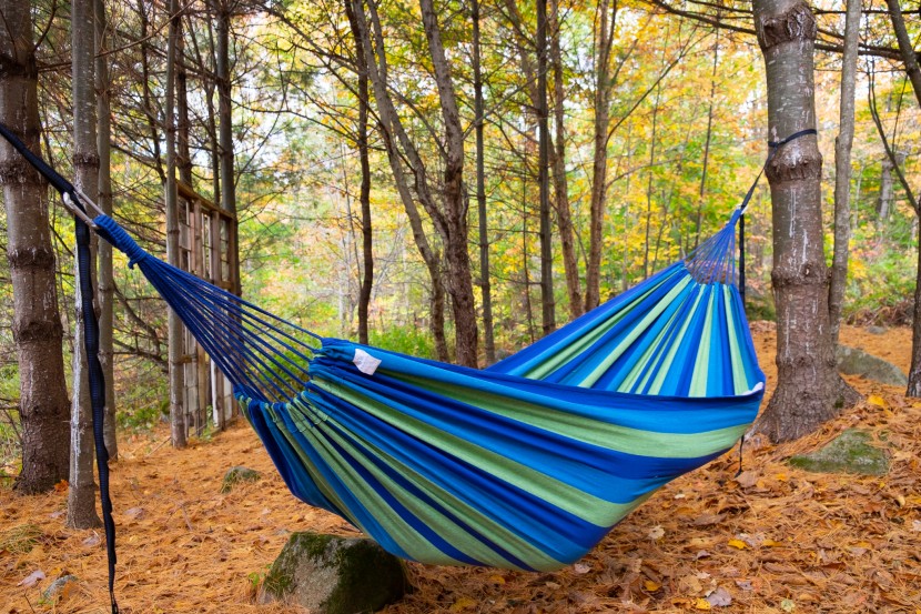 budget hammock - this capacious hammock gives you space to spread out and find just...