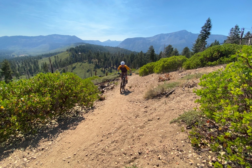 vittoria mazza - it's not the fastest rolling tire out there, but considering its...