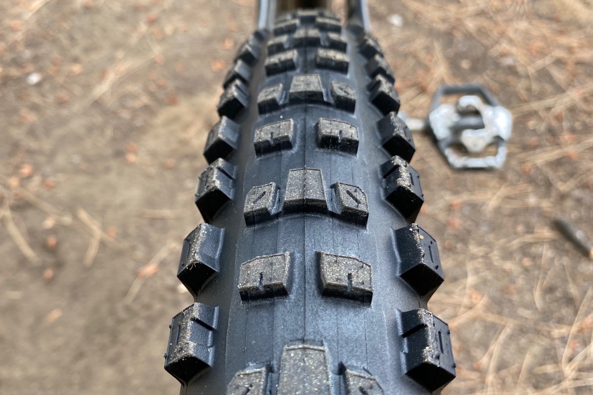 Maxxis Dissector Review (The side to side profile is somewhat round, with nice moderate height cornering knobs.)