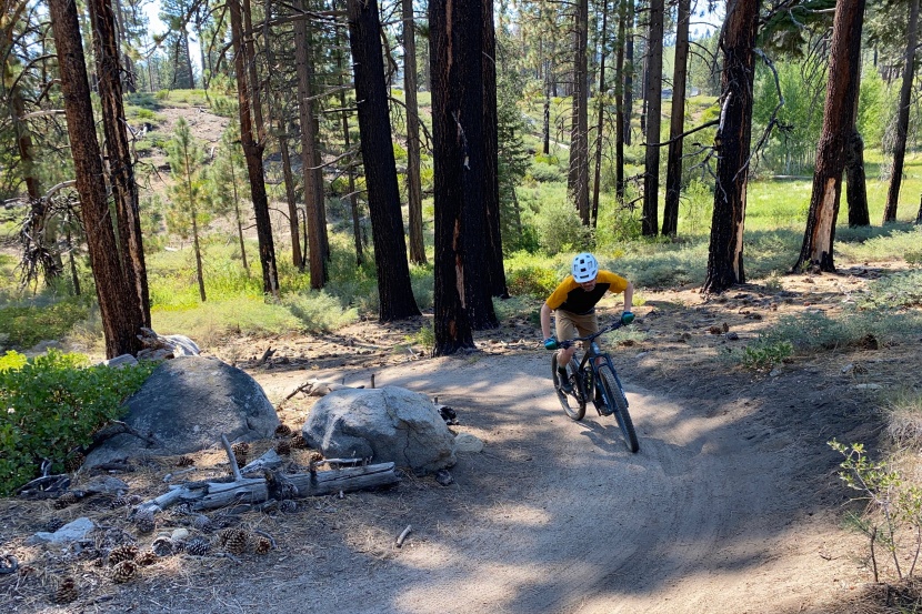 maxxis dissector - we were pleasantly surprised by this tires pedaling traction, it...