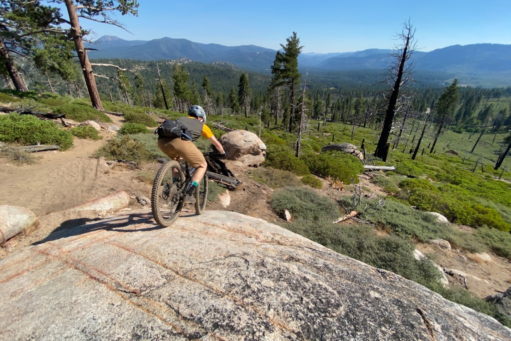 maxxis dissector - it may have been designed for the dh crowd, but the dissector is an...