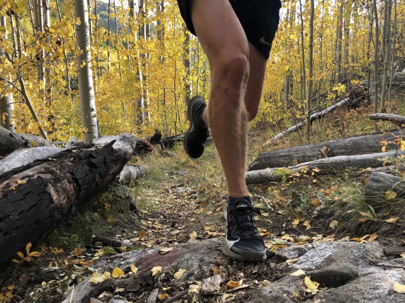nike pegasus trail 2 on foot