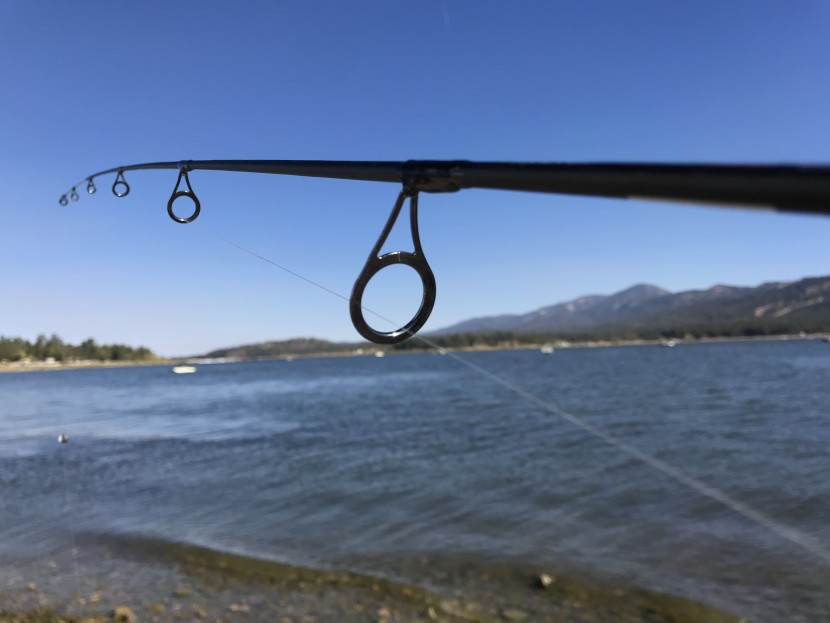 fishing line - our fluorocarbon lines, like the berkley vanish, don't score as...