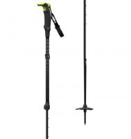backcountry ski poles