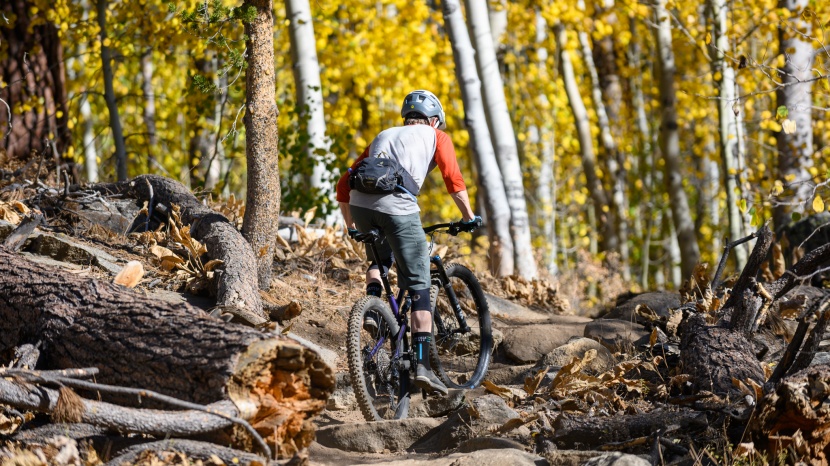 polygon siskiu t8 - the t8 is a tad heavy, but it climbs well and can scramble up techy...