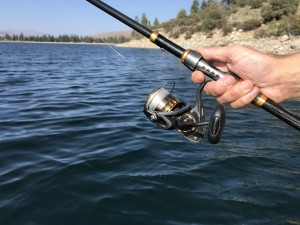fishing reel