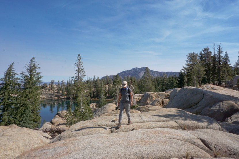 sweatpants womens - the legging depot jogger's soft, stretchy fabric is easy to move in.