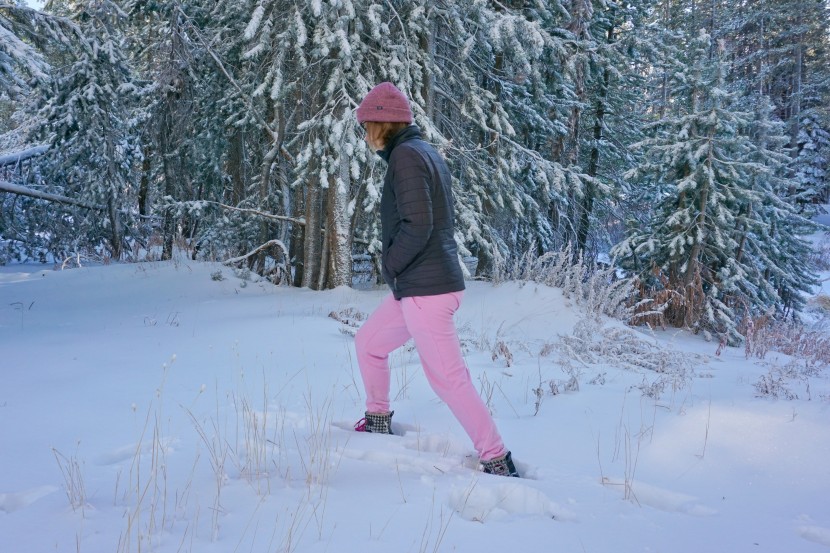 sweatpants womens - the amazon essentials fits great and we liked the jogger style.