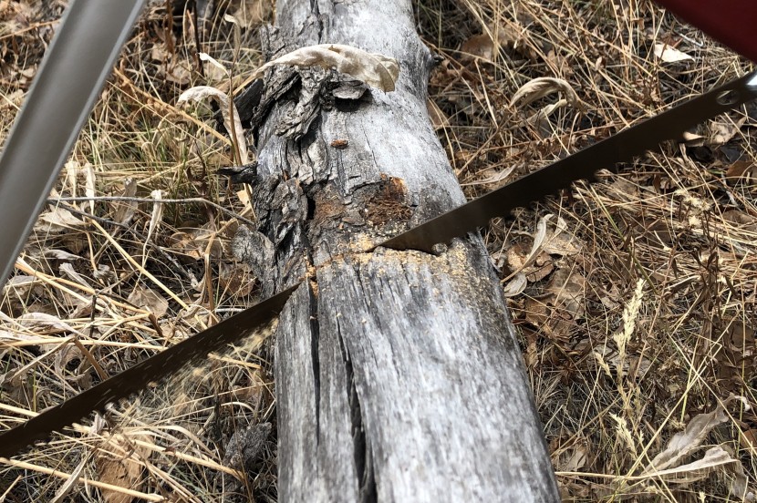 folding saw - the sven saw's imported swedish steel blade tears through logs.