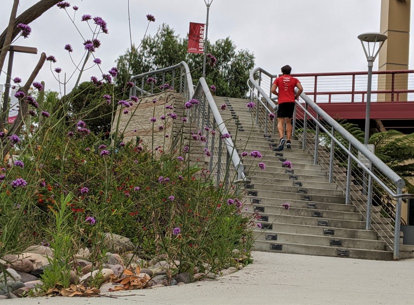 brooks glycerin 18 - you don't truly appreciate all that goes into landing comfort until...