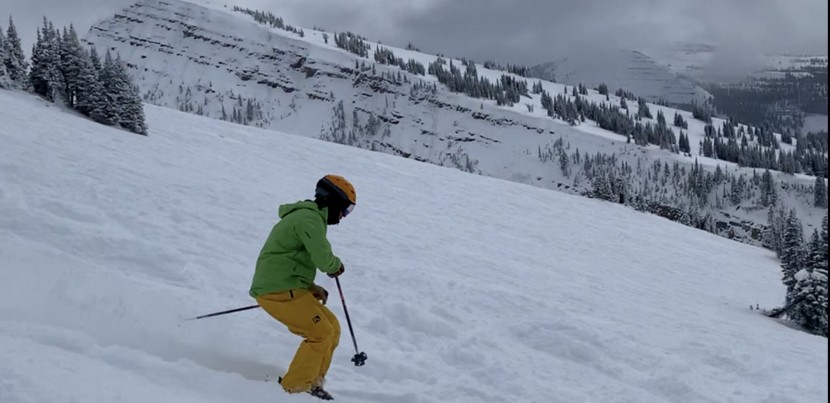 zeal portal rls - we are more than stoked at the great value the portal provides. we...