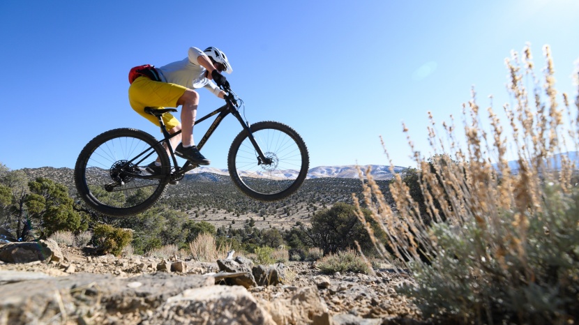 hardtail bikes are simpler and more affordable, and many modern...