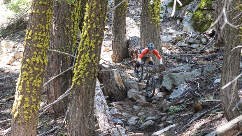 full suspension bikes typically cost a bit more and smooth things...