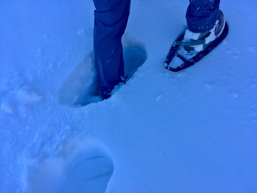 evvo snowshoes - this snowshoe is not much help in the deep stuff.