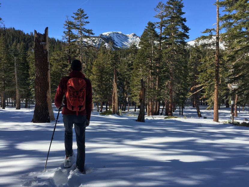 evvo snowshoes - new, untracked snow is not an ideal environment for this model.