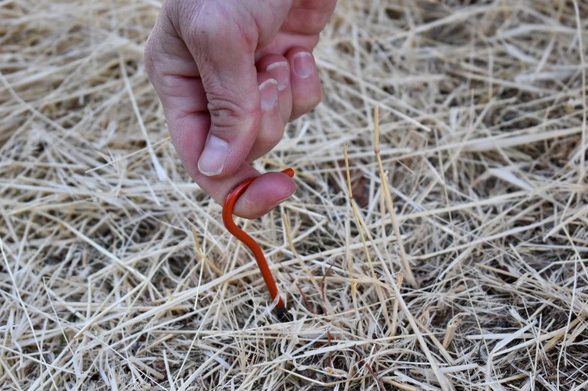 tent stakes - the shepherd's hook design of the vargo ti allows for easy removal...