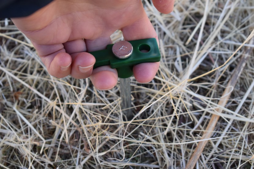 tent stakes - the eurmax has such strong staying power that it can be difficult to...