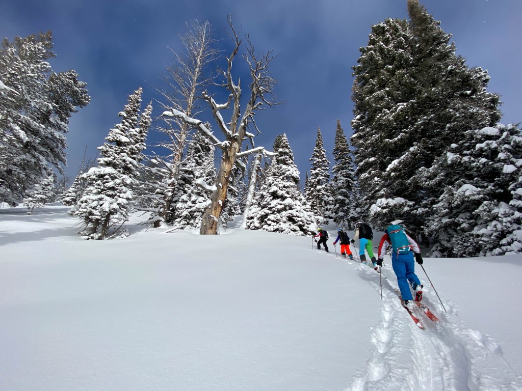 personal locator beacon - wilderness adventures of all kinds (and adventurers, and loved ones...