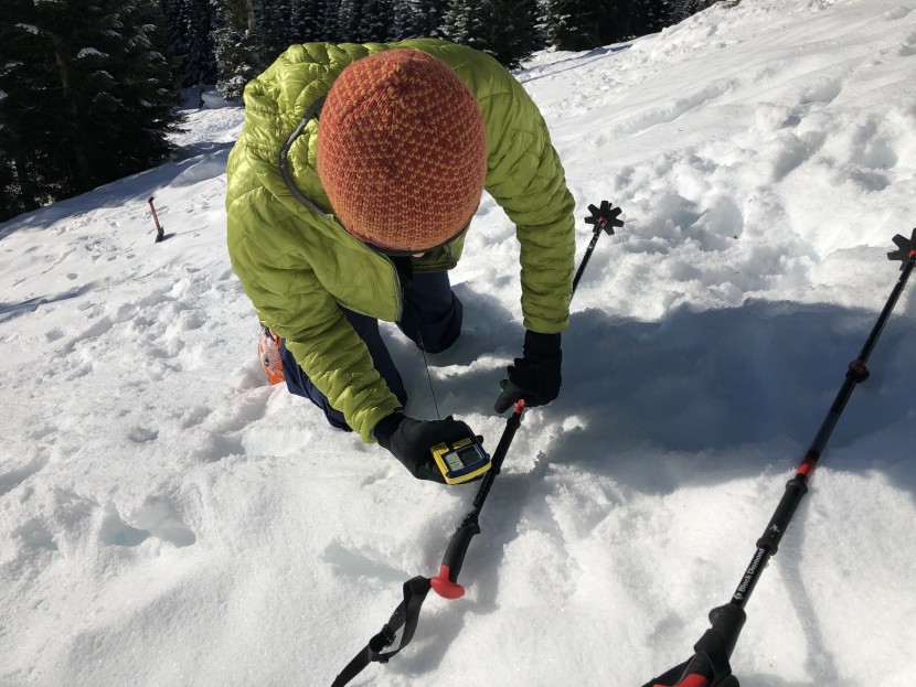 pieps powder bt - the pieps was one of the best in the fine search, offering the most...