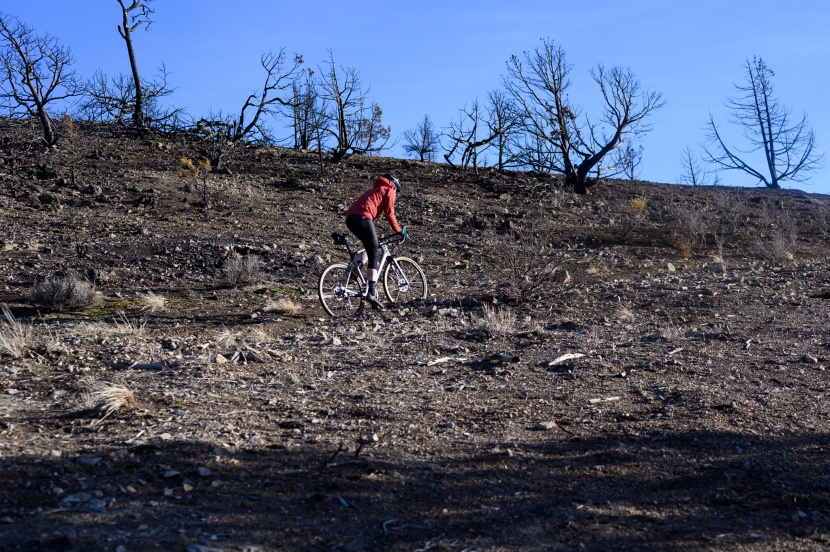 canyon grail cf sl 7 - the grail is snappy and responsive, with quick handling in technical...