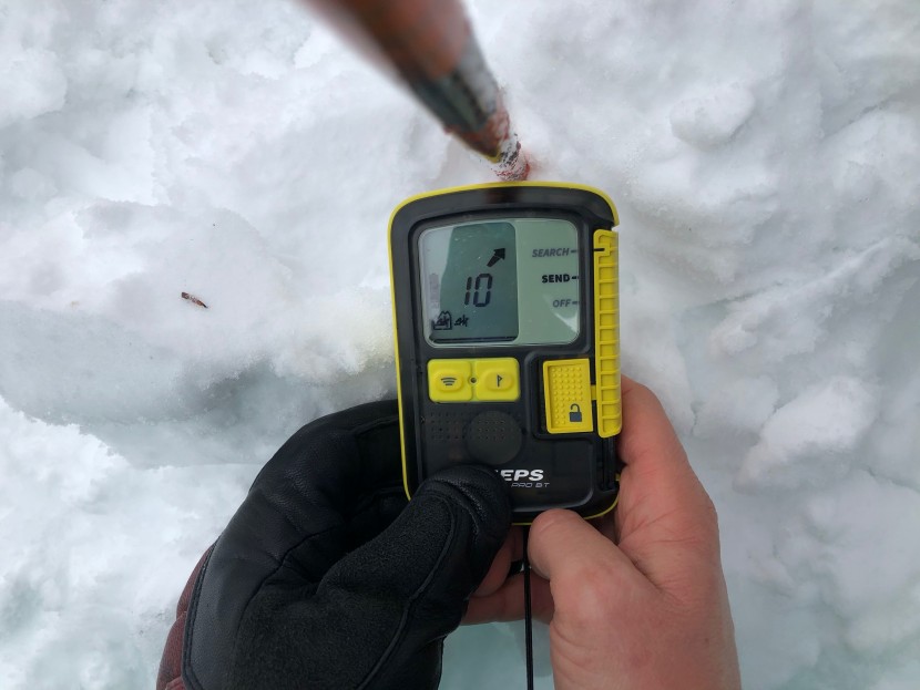 pieps pro bt - the pro bt (along with the bd guide bt) had our second favorite...