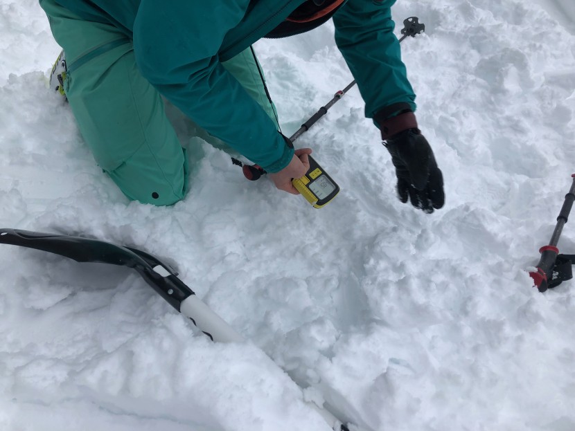 pieps pro bt - the pieps pro bt is functionally identical to the black diamond...