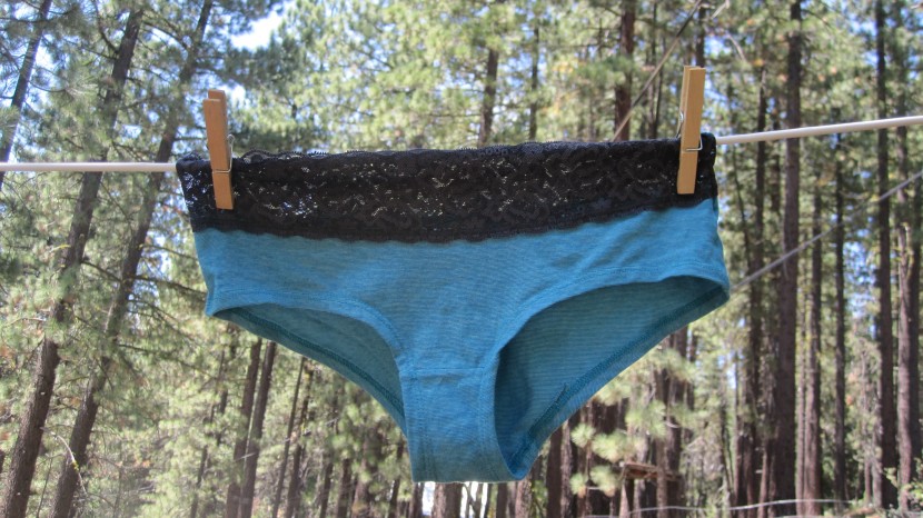 underwear womens - the emprella lace hipster is made of soft material and lace...