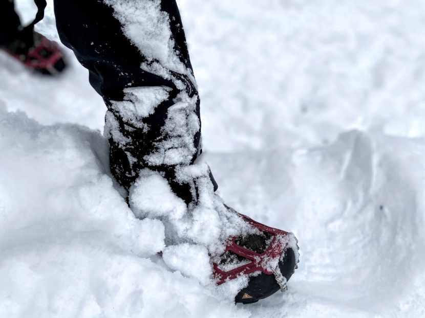 black diamond apex gtx - even knee-deep in snow, almost none of it ended up down our legs.