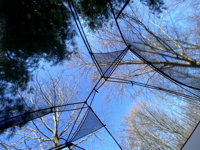 rei co-op half dome sl 2+ - the mesh canopy improves skyward views.