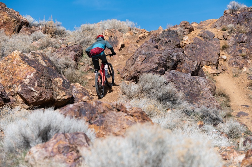 fezzari delano peak elite - the steep seat tube really helps when tackling absurdly steep...