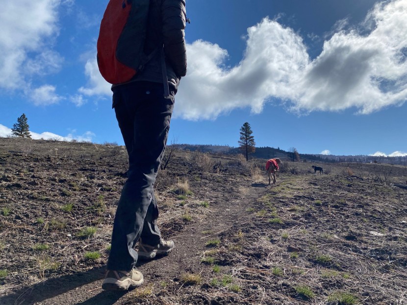 keen ridge flex waterproof for women - rubber and leather are heavy but they make for a durable shoe that...