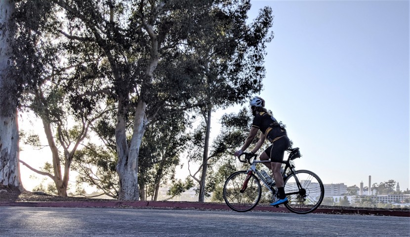 louis garneau cb carbon 2 bib - the nice thing about second-skin shorts like the carbon 2s is that...