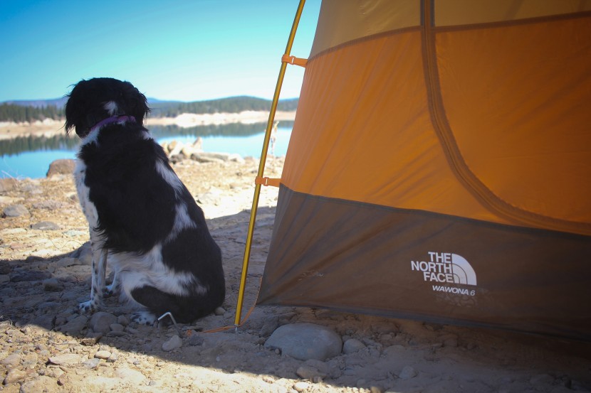 the north face wawona 6 - value is important, and the wawona 6 has lots of it.