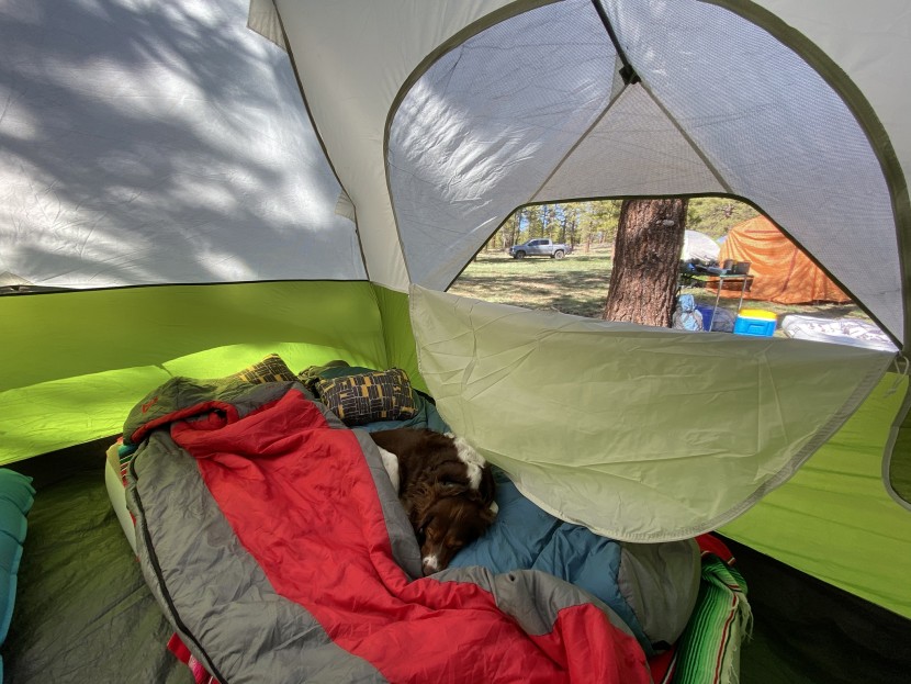 coleman evanston screened 6 - the rainfly allows for outside views when the windows are unzipped