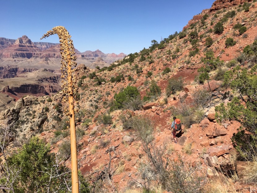 gregory 3d hydro - heading out on a backpacking trip? this reliable bladder is one of...