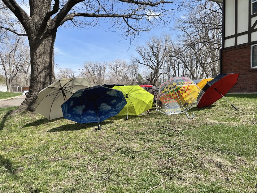 umbrella - so many patterns and colors to contemplate!