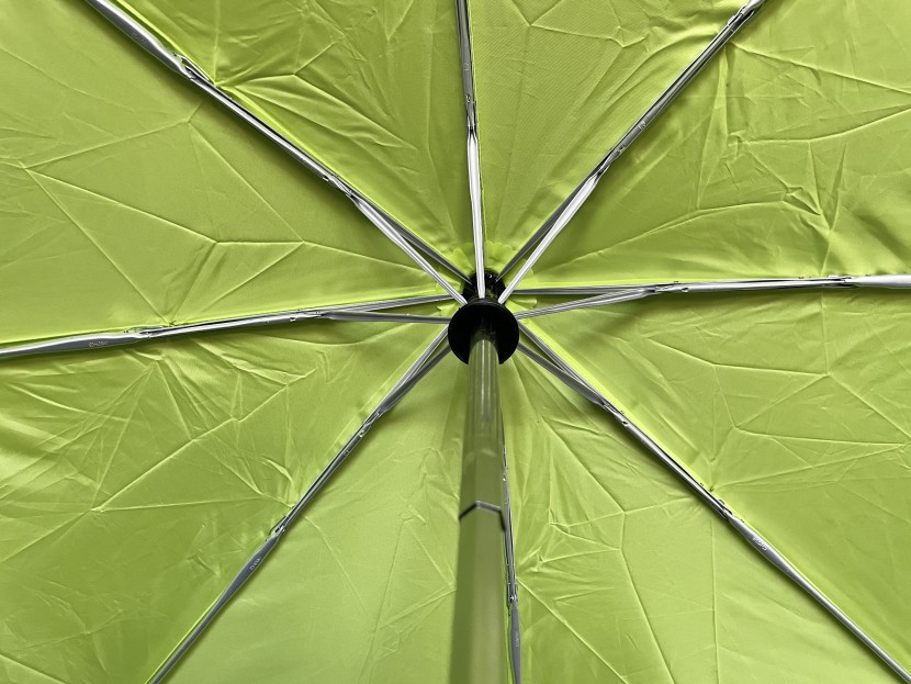 lewis n. clark travel - a closer look at the skeletal structure, pre high wind test.