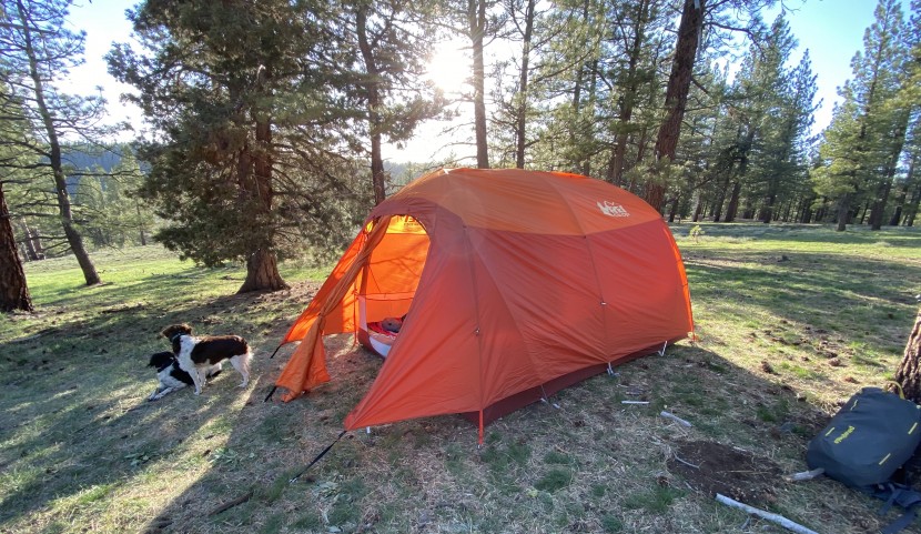 rei kingdom 6 - a profile view of the kingdom. here you can see the small vestibule...