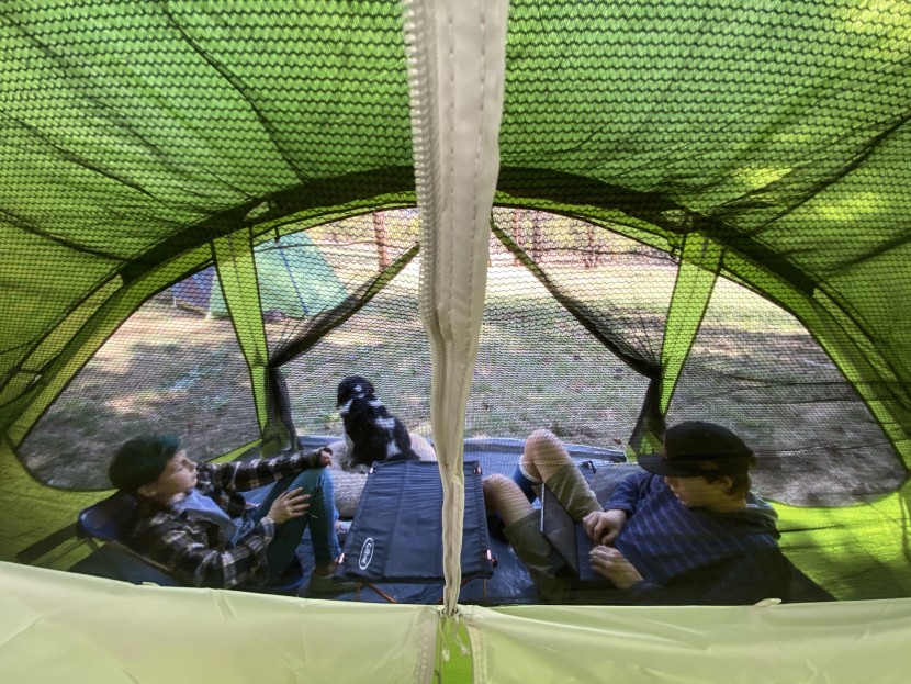 coleman evanston screened 6 - the obstructed view looking out of the main door window. why colman...