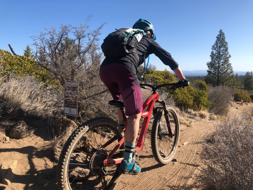 troy lee designs luxe short - 4-way stretch means these shorts move with you on the bike.