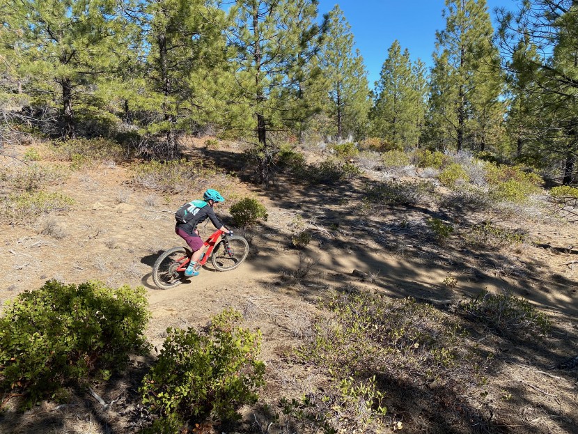 troy lee designs luxe short - the inseam is a bit short to work well with knee pads for many women.