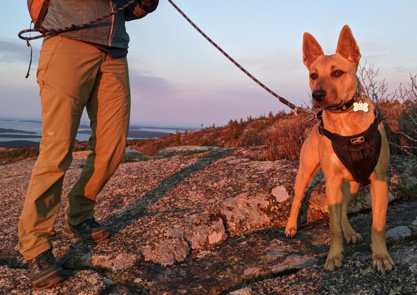 arc'teryx palisade pant for women - the arc'teryx palisade pants breathe really well while blocking cold...