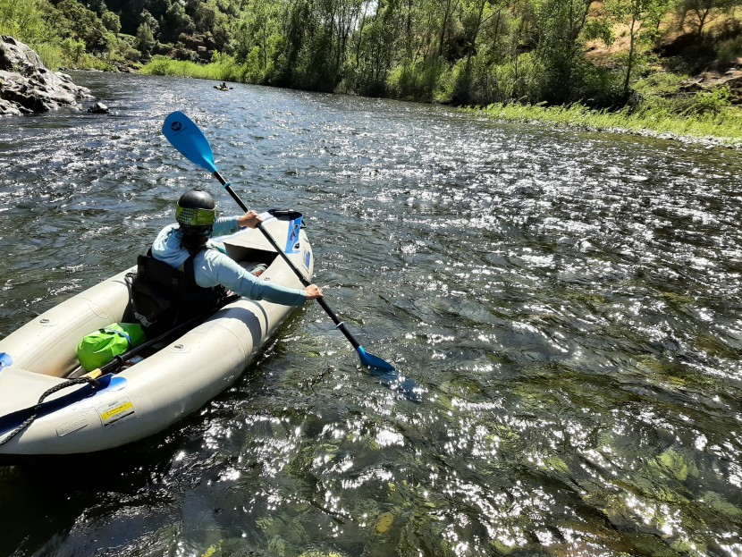 wilderness systems apex fg - if you would benefit from being able to vary your paddle length to...