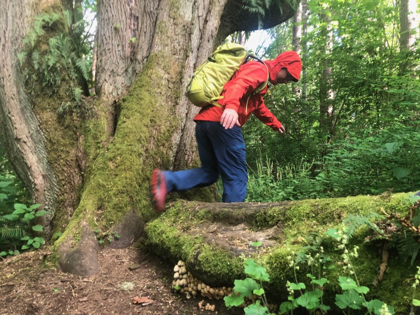 arc'teryx zeta sl - despite the price tag, which is more expensive than most of its...