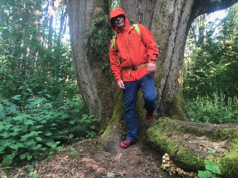 rei co-op stormbolt gtx - the stormbolt is one of our review teams' favorite overall models...