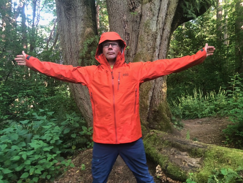 rei co-op stormbolt gtx - overall this model's modestly mobility-oriented and...