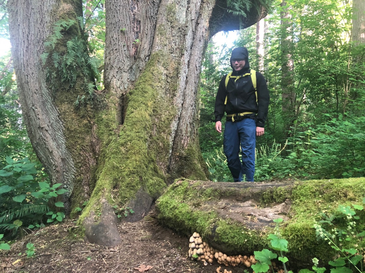 REI Co-op XeroDry GTX Review (The XeroDry is an incredible value for a Gore-Tex jacket.)