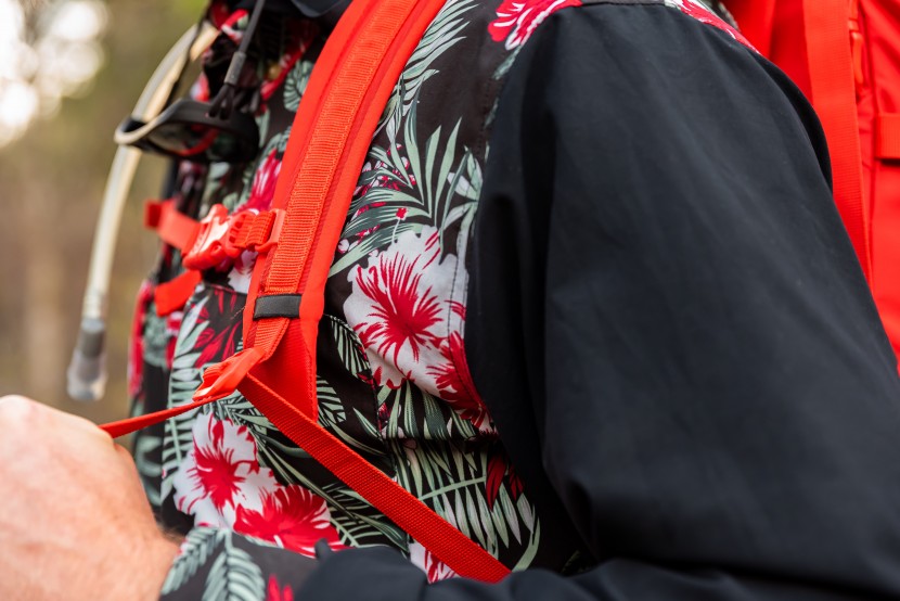 the north face cobra 60l - for a pack that claims it can carry heavy loads, the shoulder straps...