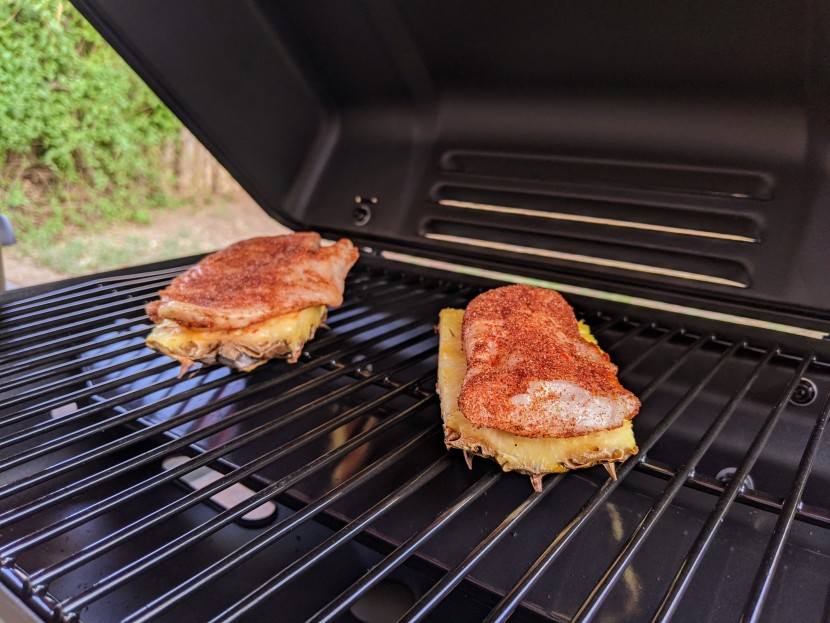 char-broil 240 portable - you wouldn't know it from the frame of this photo, but these are...