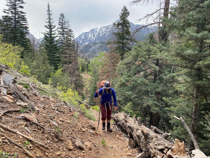 rei co-op merino wool ultralight crew - day hikes, backpacking trips, any outdoor exploration is suitable...